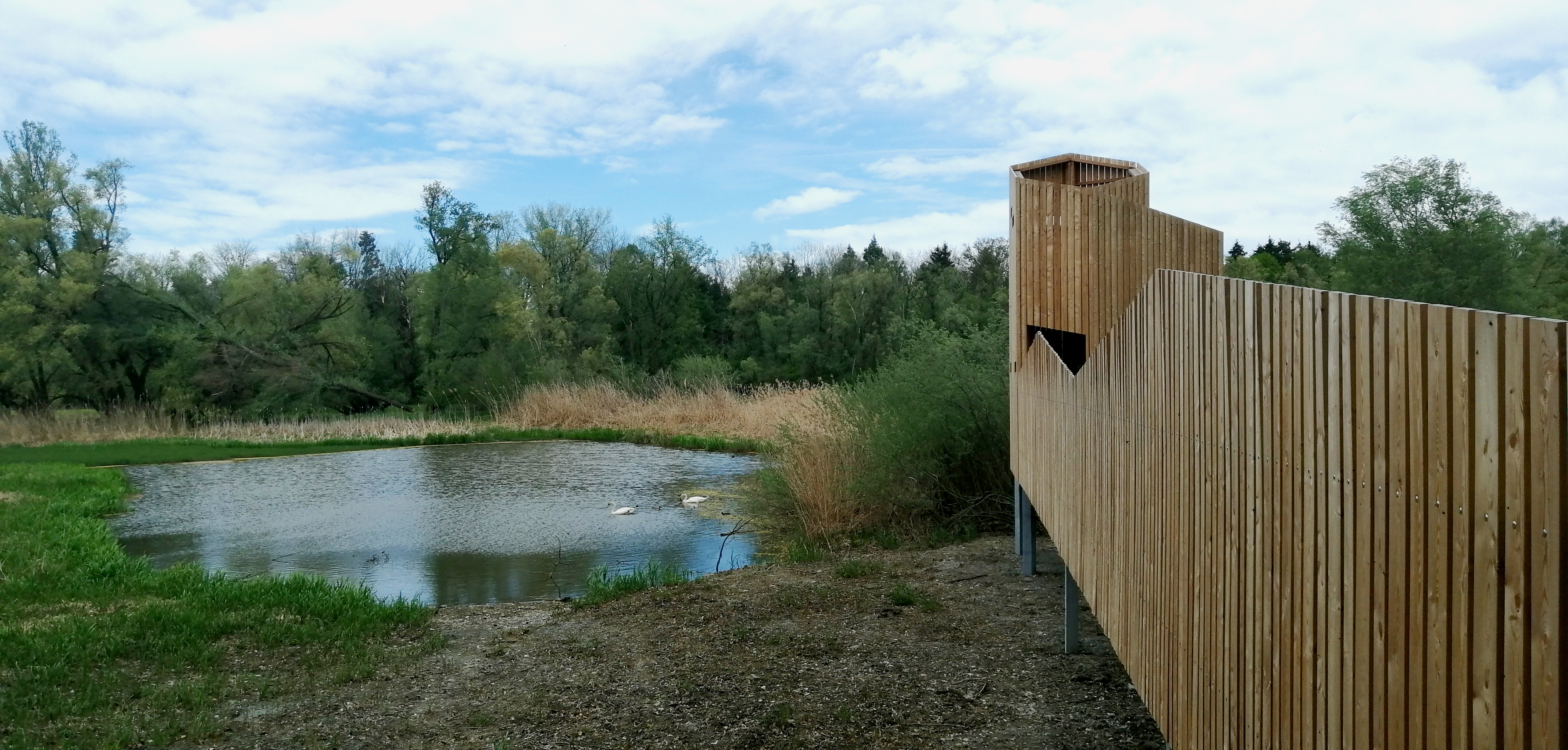 Torre di osservazione della natura Weitsicht al Vecchio Reno
